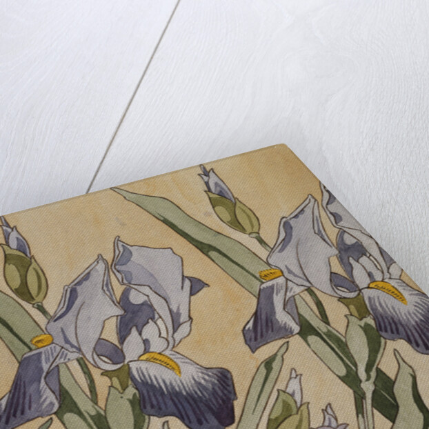 Iris by Kolomon Moser