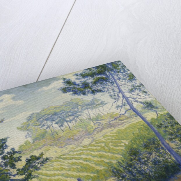 Vineyards Under the Pines by Paul Ranson