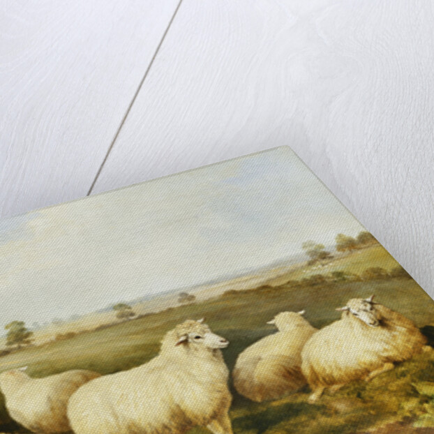 Sheep in a Meadow by James Charles Morris