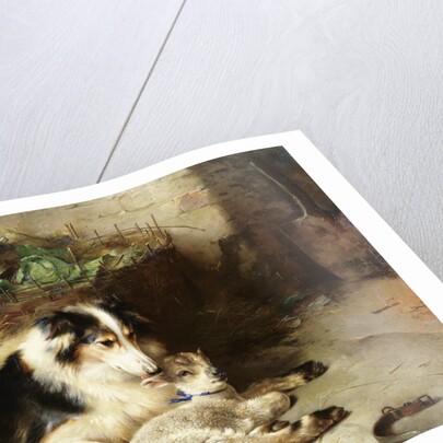 Motherless: The Shepherd's Pet by Walter Hunt