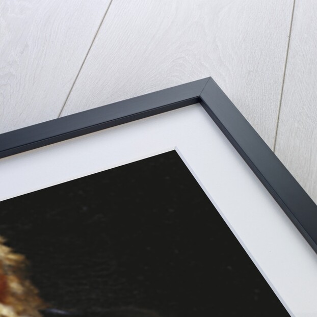 Portrait of Charles Darwin, standing three quarter length by John Collier