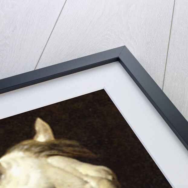 Head of a Piebald Horse attributed to Theodore Jean Louis Gericault by Anonymous