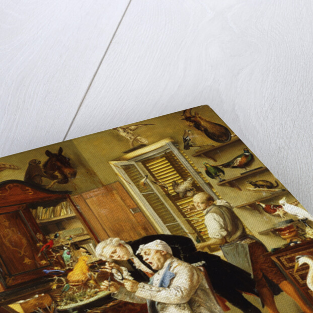 The Taxidermist by Francois Brunery