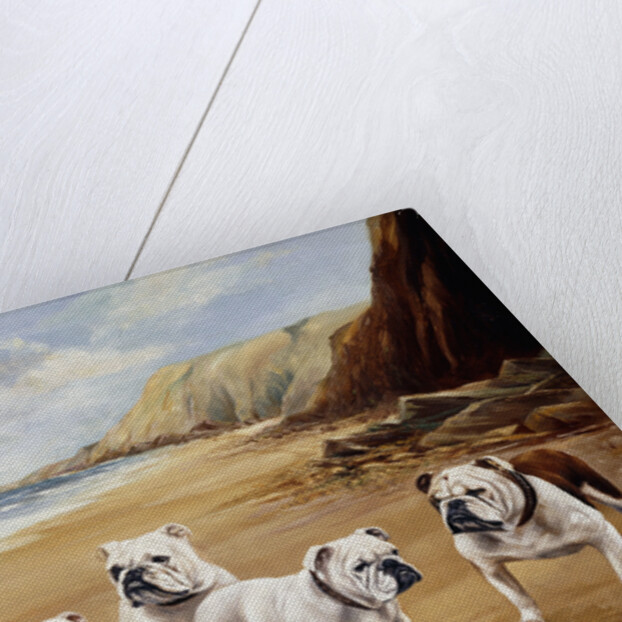 Bulldogs on a Beach by Reuben Ward Binks