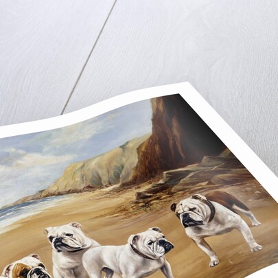 Bulldogs on a Beach by Reuben Ward Binks