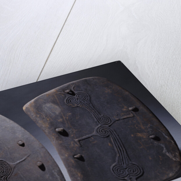 Two Lumi shields in rectangular form by Anonymous