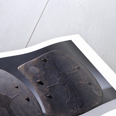 Two Lumi shields in rectangular form by Anonymous