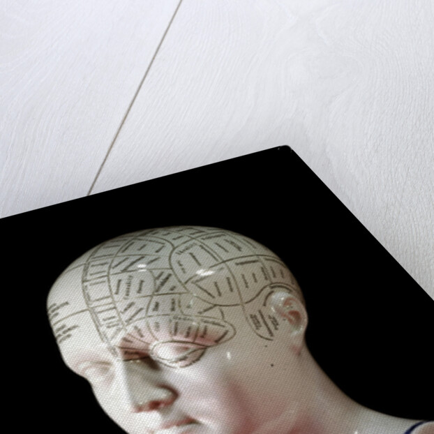 A porcelain phrenology head by L.N Fowler