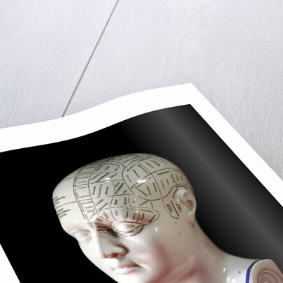 A porcelain phrenology head by L.N Fowler