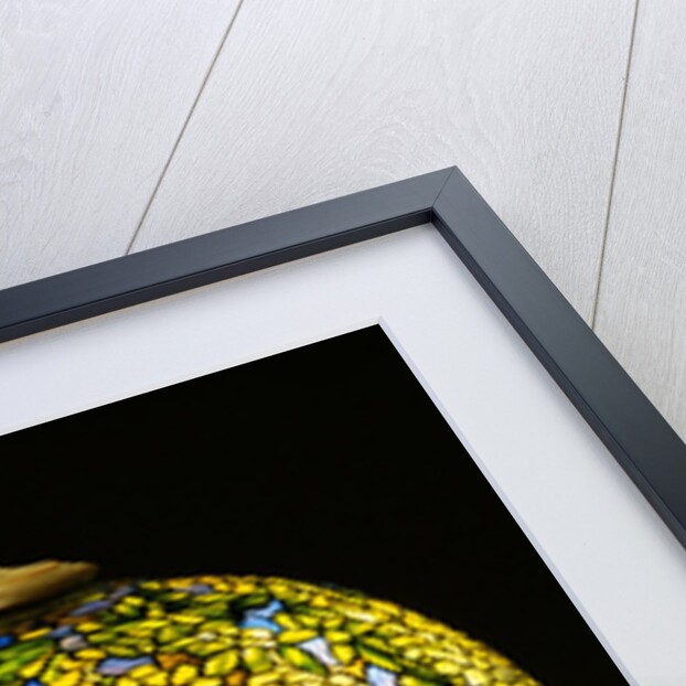 Tiffany Studios 'Laburnum' leaded glass and bronze table lamp by Anonymous