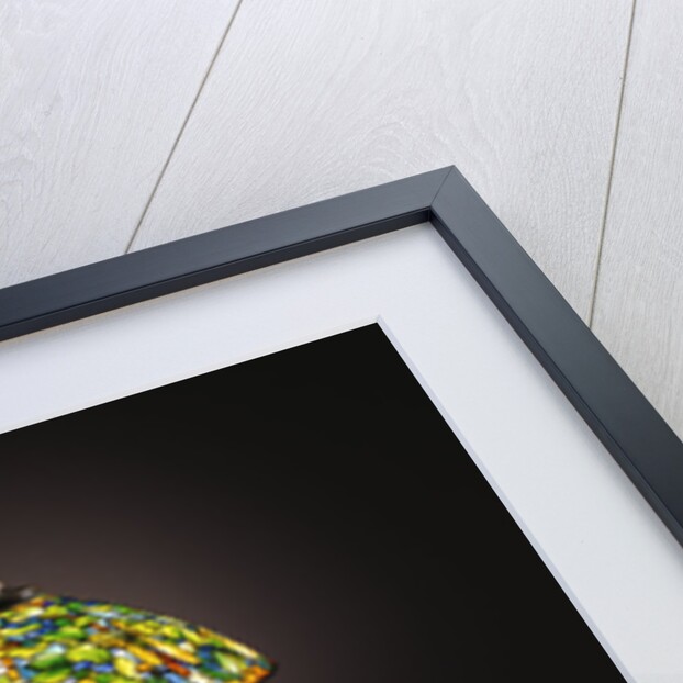 Tiffany Studios 'Gourd' leaded glass and bronze floor lamp by Anonymous