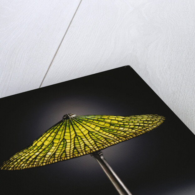 Tiffany Studios 'Lotus' leaded glass and bronze table lamp by Anonymous