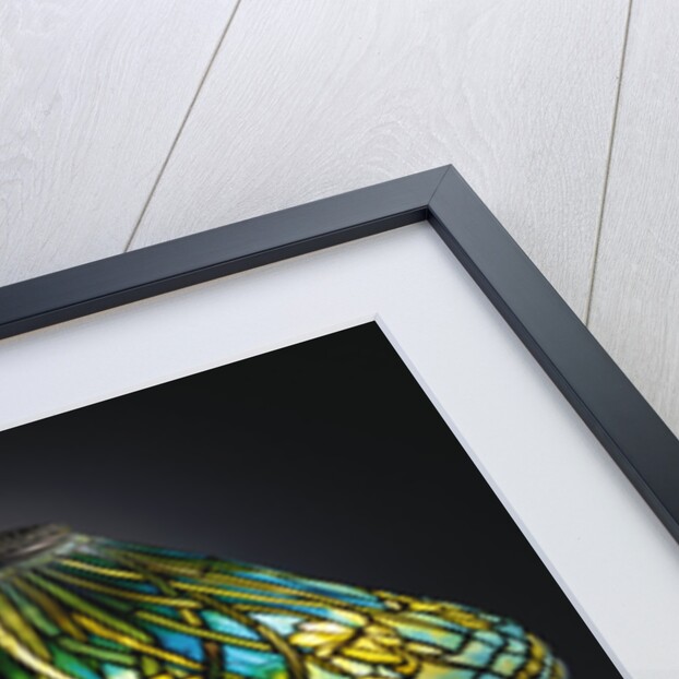 Tiffany Studios 'Daffodil' leaded glass and bronze table lamp by Anonymous