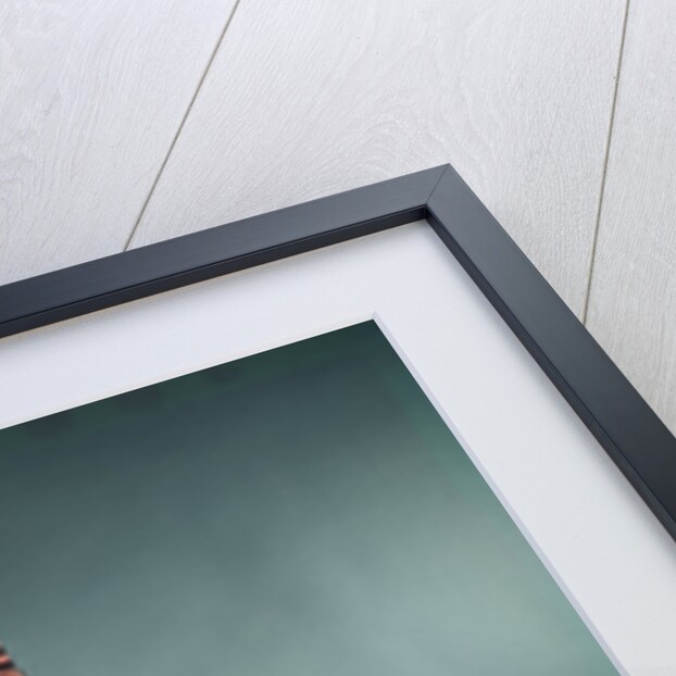 1960s 1970s Character Woman Wearing Native American Feather Headdress Making How Gesture Holding Blank Sign Looking At Camera by Anonymous