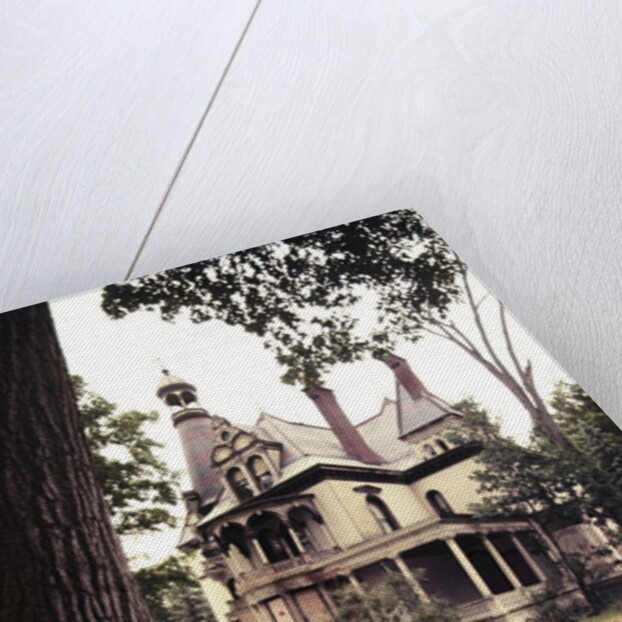 1960s 1970s Woman Standing Beside Tree Front Of Abandoned Haunted Victorian House by Anonymous