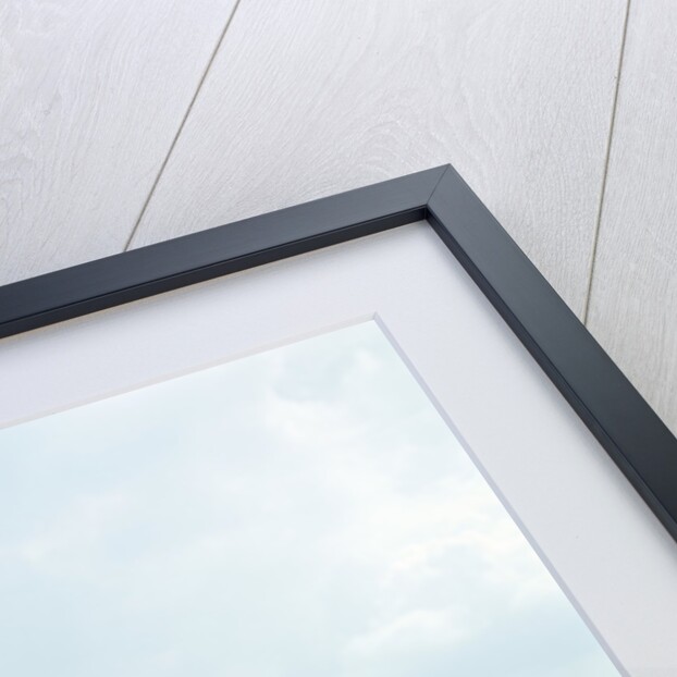 1970s Teen Girl Diving Into Swimming Pool by Anonymous