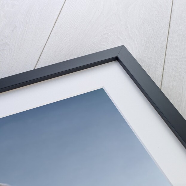 1960s Man Wearing Lab Coat Pouring Liquid From Small Erlenmeyer Flask Into A Larger Flask by Anonymous