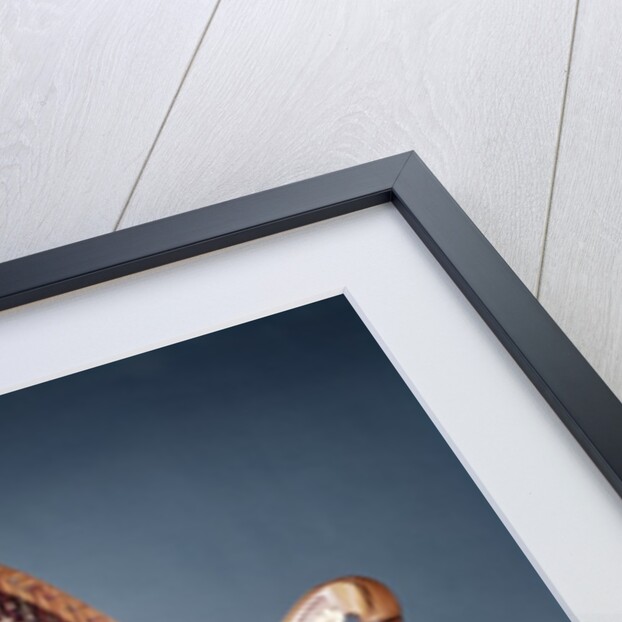 golden Free Standing Harp by Anonymous