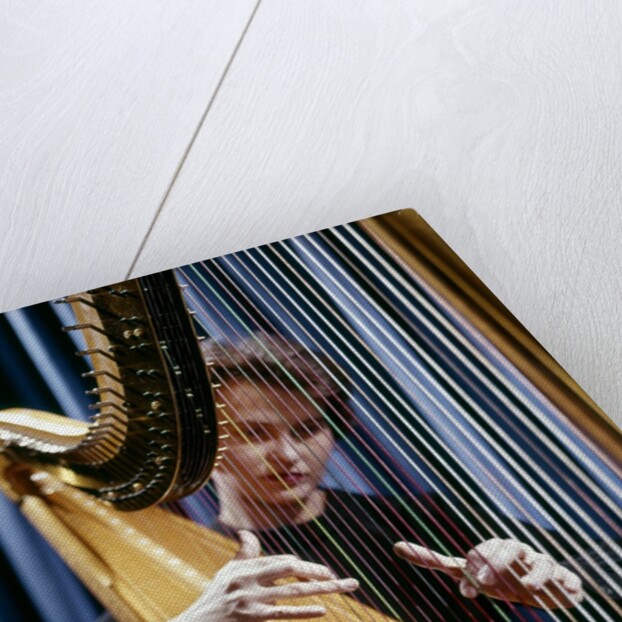 1960 1960s Retro Harp Musician Woman Strings by Anonymous