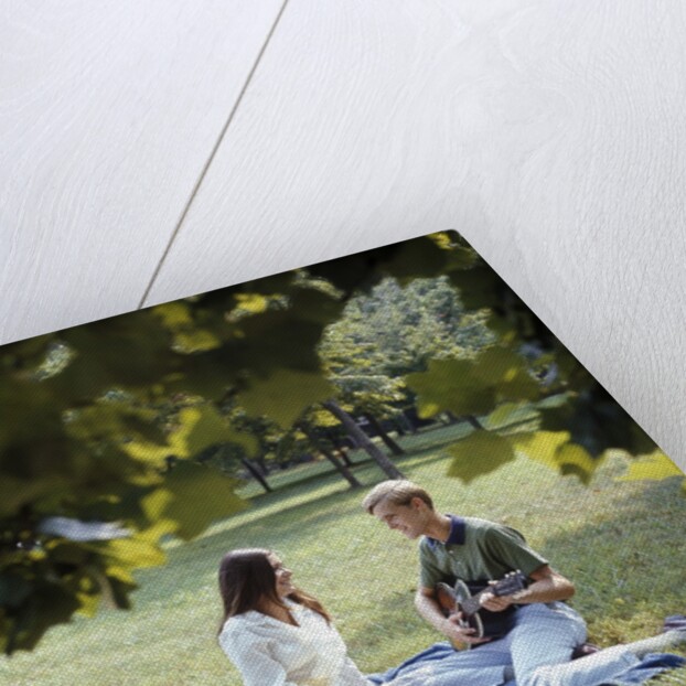 1960 1960s 1970 1970s Retro Smiling Couple Man Woman Sitting On Blanket On Grass Park Man Playing Acoustic Guitar by Anonymous