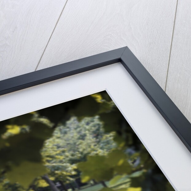 1960 1960s 1970 1970s Retro Smiling Couple Man Woman Sitting On Blanket On Grass Park Man Playing Acoustic Guitar by Anonymous