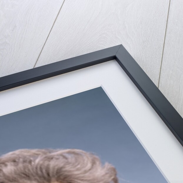 1960s Senior Middle Aged Woman Red Blouse Serious Expression Talking On Telephone by Anonymous