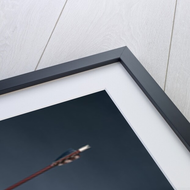 1960s Anxious Nervous Man Looking Up At Arrow Shot Through An Apple Sitting On Top Of His Head by Anonymous