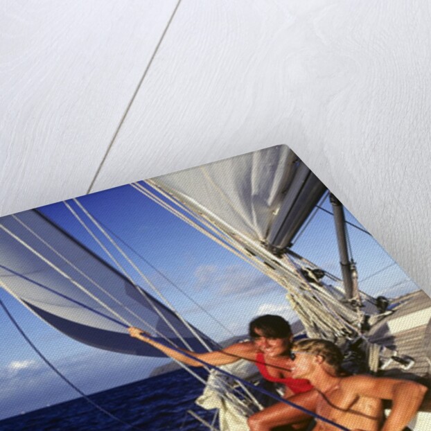 couple Enjoying The Ride On Deck Of Sailboat Heading Toward St. Vincent West Indies by Anonymous