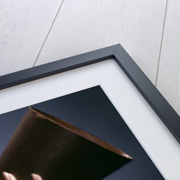1960s Portrait Teen Cheerleader Girl Shouting Into Megaphone by Anonymous