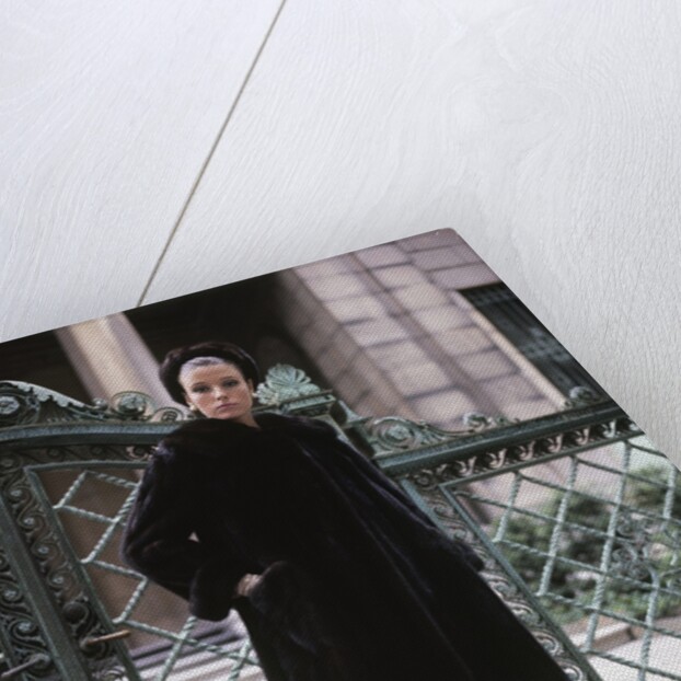1960s Young Woman Wearing Dark Mink Coat Hat Standing Ornate Wrought Iron Gate Fur Retro by Anonymous