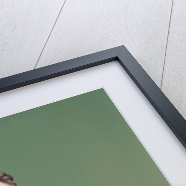 1940s Portrait Smiling Woman Wearing Green Velvet Bathing Suit Sitting Posing On Diving Board by Anonymous