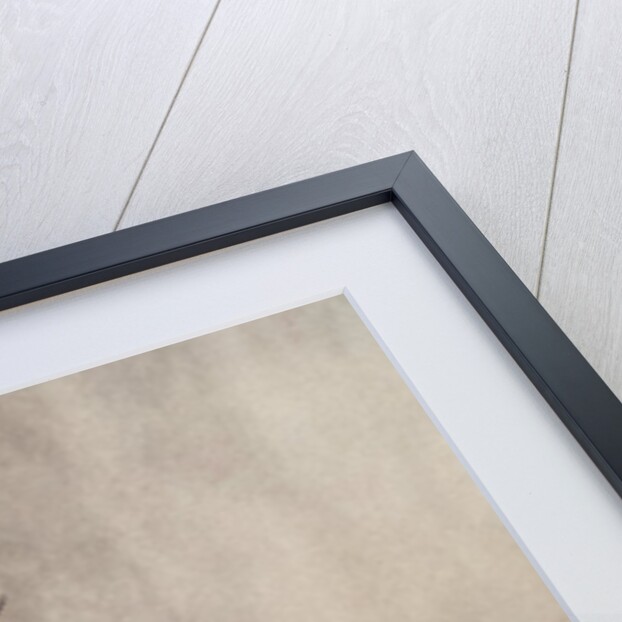 Illustration by Arthur Rackham from a Midsummer Night's Dream by William Shakespeare by Anonymous