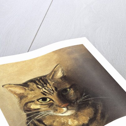 Tabby cat by Louis Wain