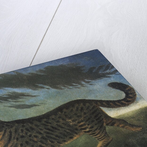 Tabby cat walking at night by Anonymous