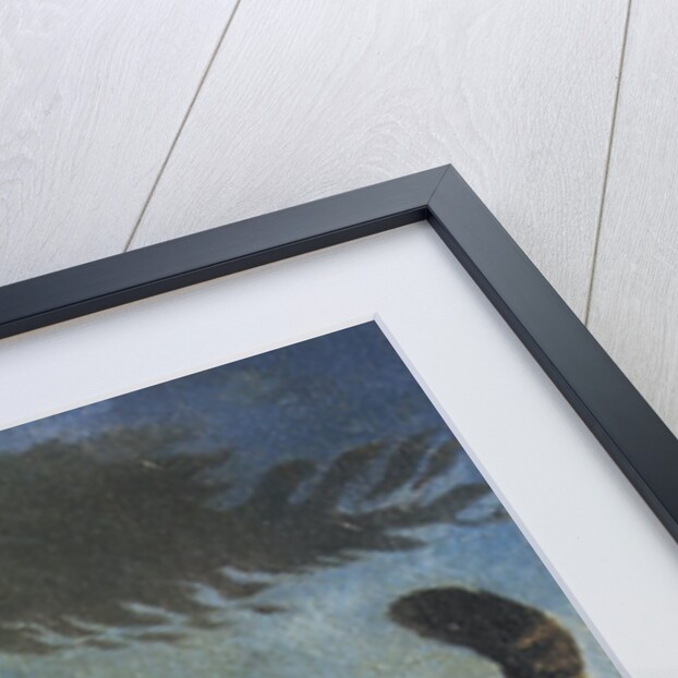 Tabby cat walking at night by Anonymous