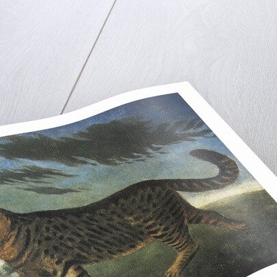 Tabby cat walking at night by Anonymous