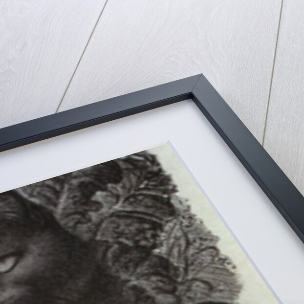 Sleepy Cat by Eileen Mayo