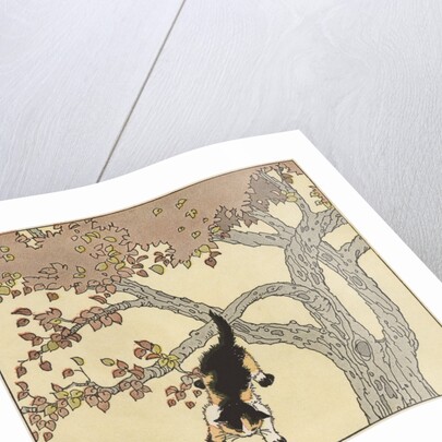 Kitten jumping from tree by Anonymous