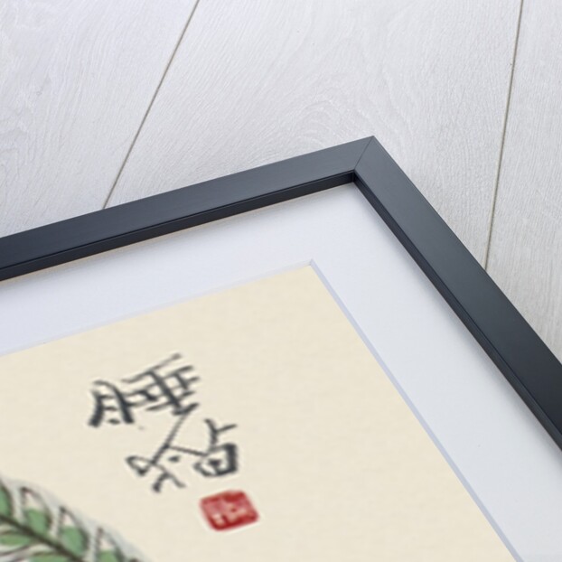 Sleeping cat by Anonymous