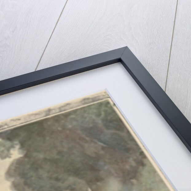 Illustration by Hugh Thomson from As You Like It by William Shakespeare by Anonymous