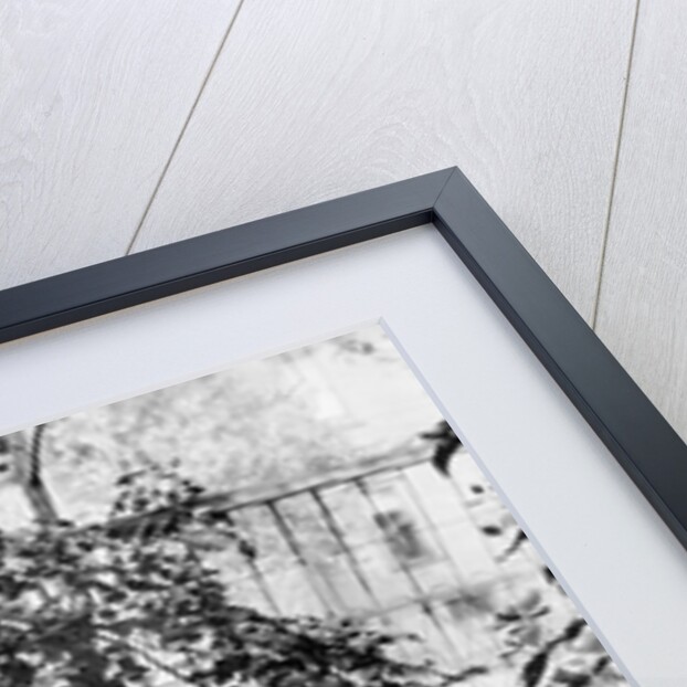 A shaggy looking dog awaits grooming on a table, ca. 1910 by Anonymous