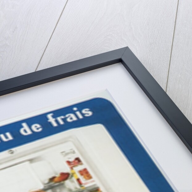 French Refrigerator Ad by Anonymous