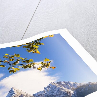 Mountain range in autumn by Anonymous