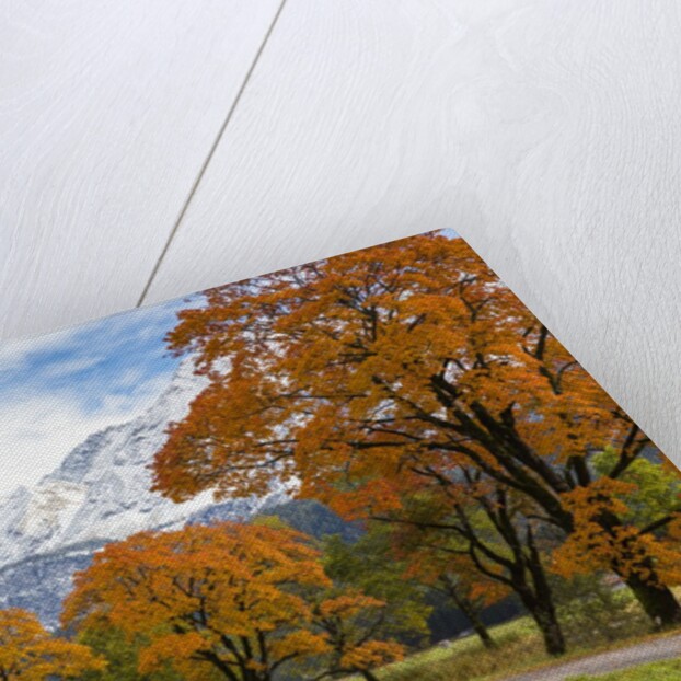 Autumn colors by mountain range by Anonymous