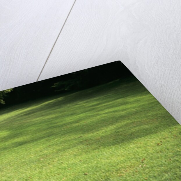 1980s Little Girl With A Red Balloon Running In The Grass by Anonymous