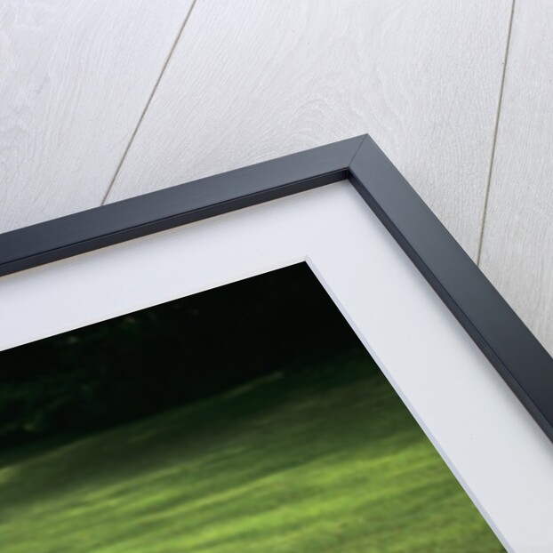 1980s Little Girl With A Red Balloon Running In The Grass by Anonymous