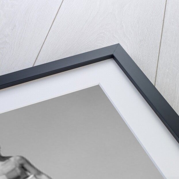 1960s Man Water Skiing With Woman In Bathing Suit Riding On Shoulders by Anonymous