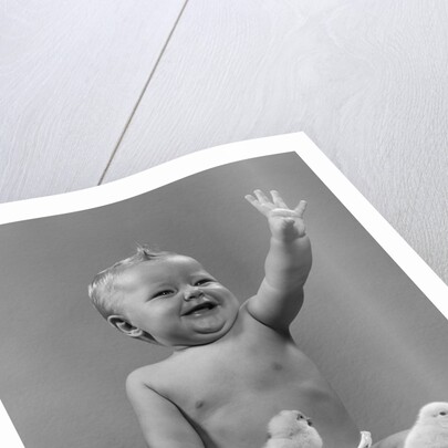 1950s Laughing Waving Baby Surrounded By Little Baby Chicks by Anonymous