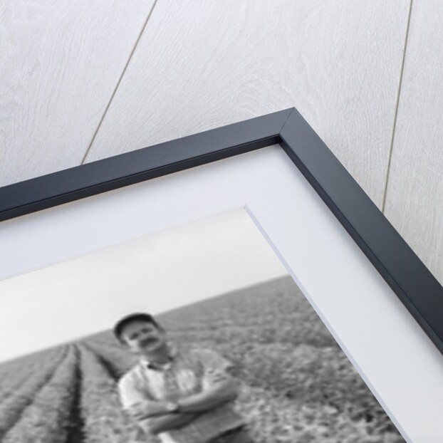 1970s Man Standing With Arms Crossed Among Rows Of Large Soybean Crop Looking At Camera by Anonymous