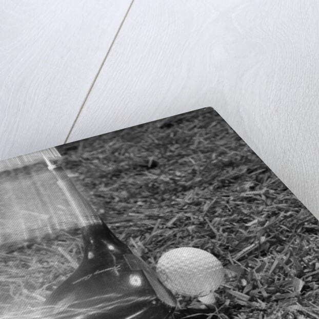 1960s Moving Driver Golf Club Hitting Ball On Tee In Grass by Anonymous